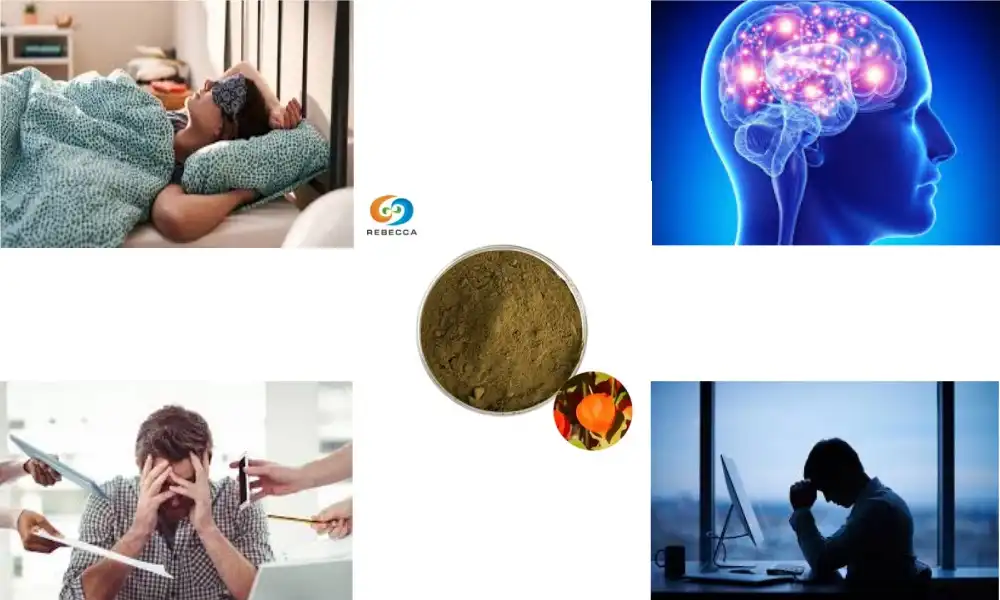 Looking for Stress Support? Try Withania Somnifera Root Powder